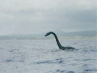 Loch ness monster