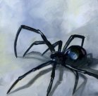 Mean Little Spider
