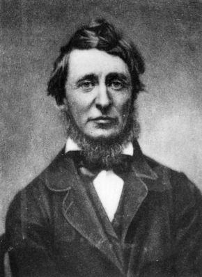 Henry David Thoreau 