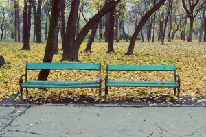 Parcul Herastrau (Herastrau Park)