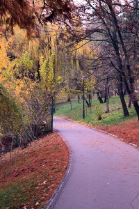 Parcul Herastrau (Herastrau Park)