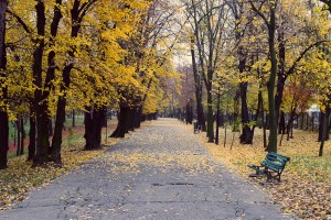 Parcul Herastrau (Herastrau Park)