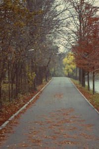 Parcul Herastrau (Herastrau Park)