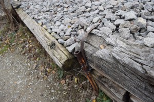 Parcul Herastrau (Herastrau Park)