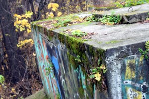 Parcul Herastrau (Herastrau Park)