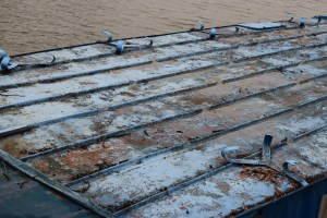 Parcul Herastrau (Herastrau Park)