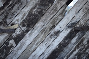 Parcul Herastrau (Herastrau Park)