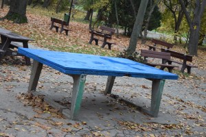 Parcul Herastrau (Herastrau Park)