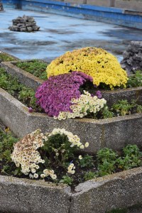 Parcul Herastrau (Herastrau Park)