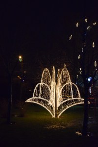 Fountain of Light