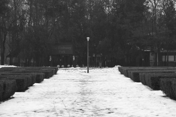 black and white lamp post solitude