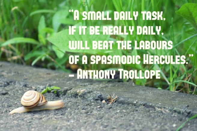 snail photo inspirational