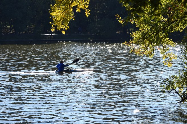 man paddling lake park