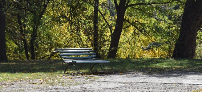 Park Bench in Herastrau