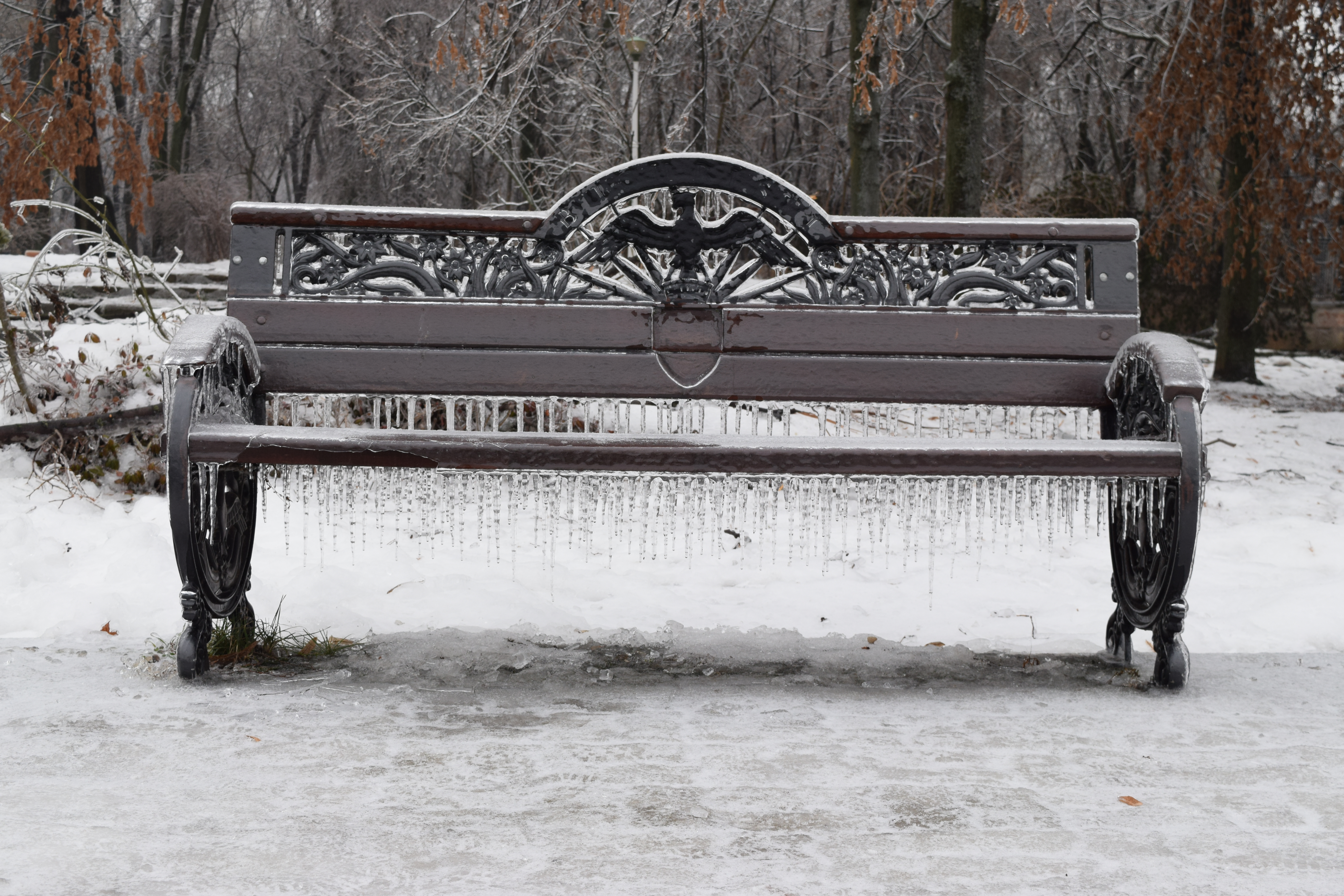 this bench offers no comfort