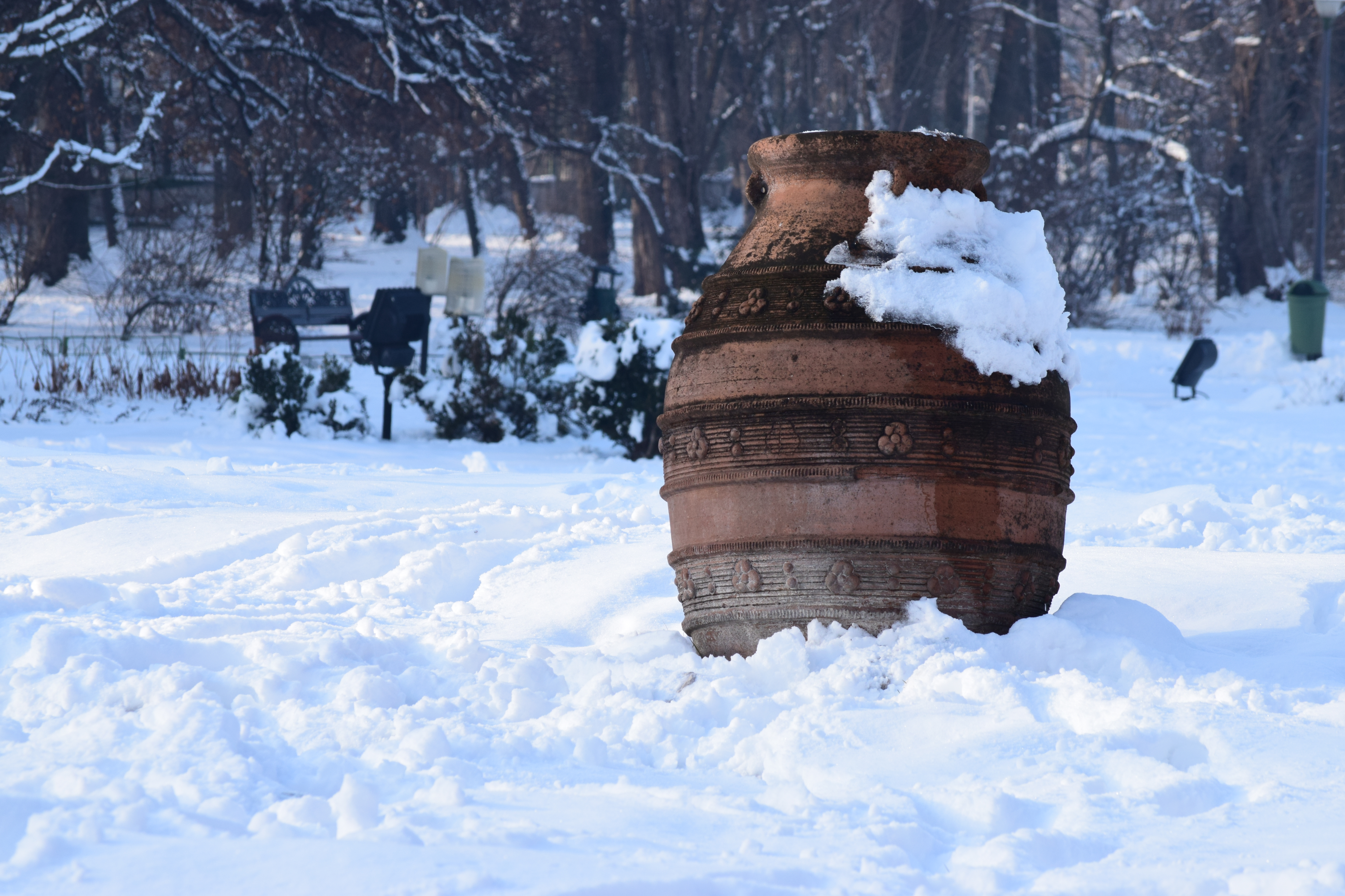 Vas cu nimic - Big pot with what in it?