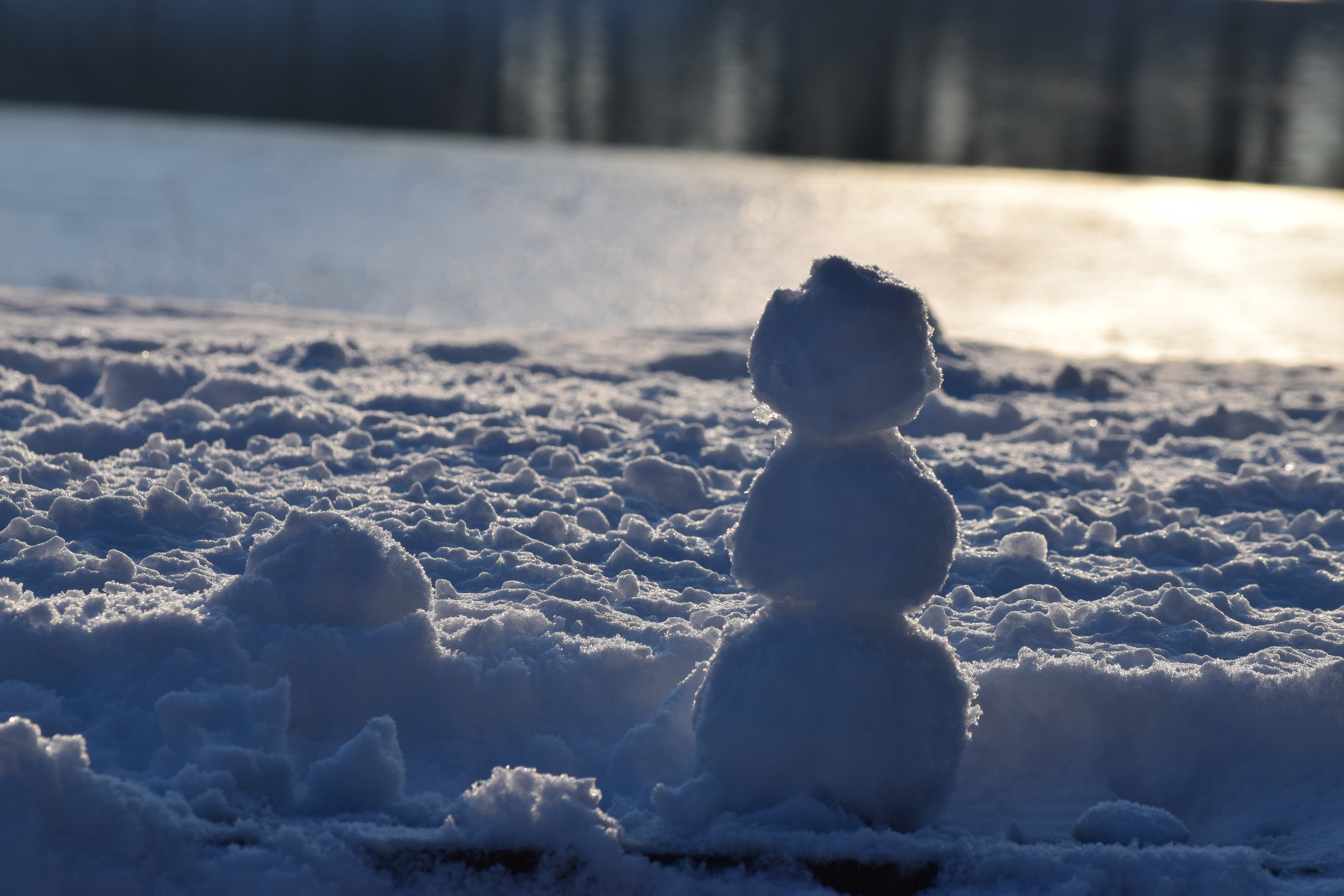 Om mic de zapada - little snowman