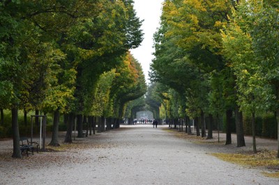 Walk at the Schonbrunn