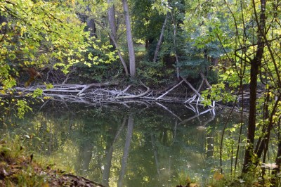 View from the Prater Park