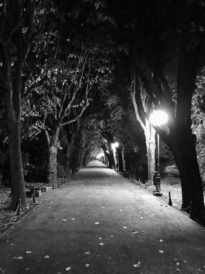 Park alley at night