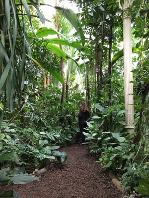 Palmenhouse Hot House