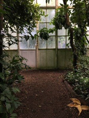 Palmenhouse