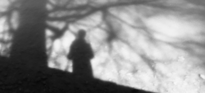 shadow of a man under a tree black and white